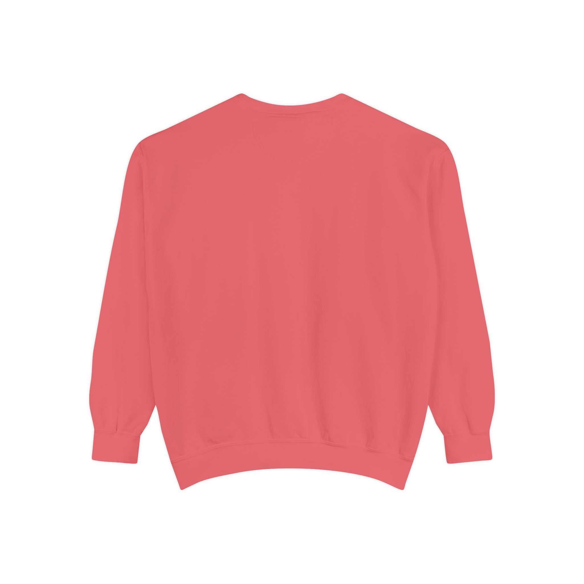 Daddy Ring Bomb's Fizztopia Galaxy Sweatshirt - Comfort Colors
