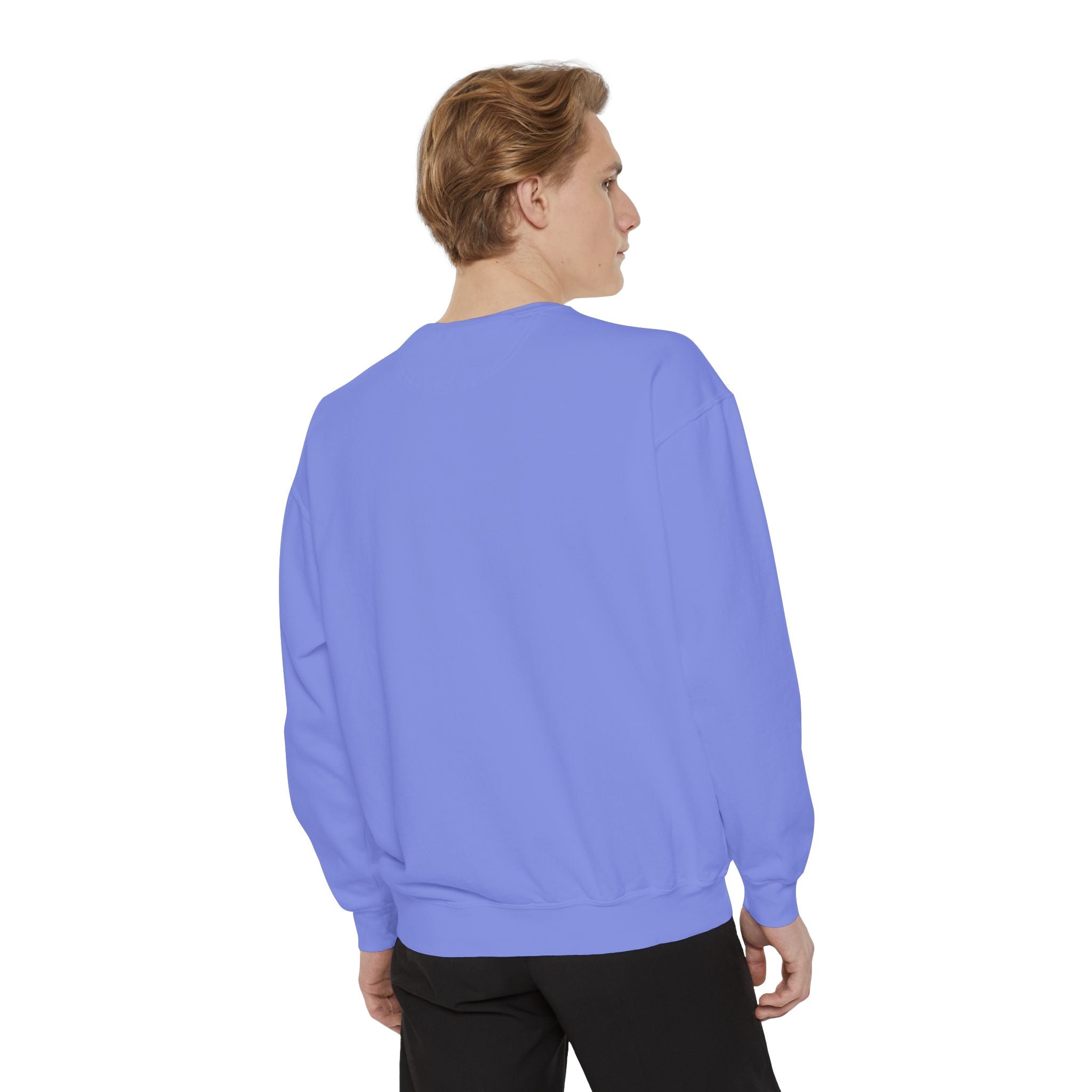 Daddy Ring Bomb's Fizztopia Galaxy Sweatshirt - Comfort Colors