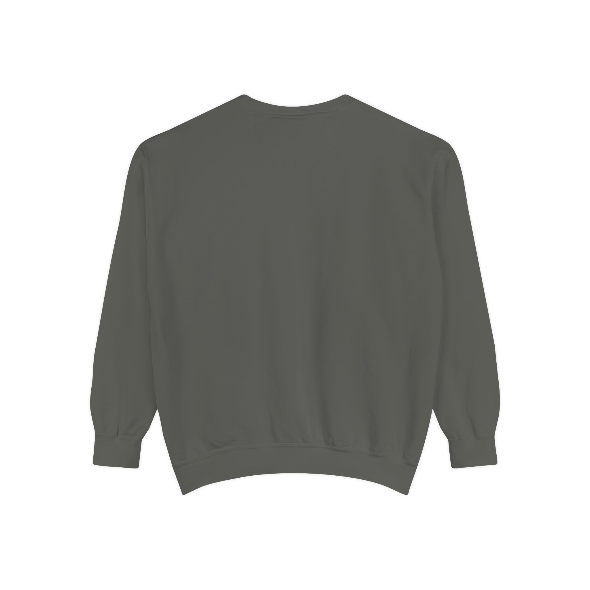 Daddy Ring Bomb's Fizztopia Galaxy Sweatshirt - Comfort Colors