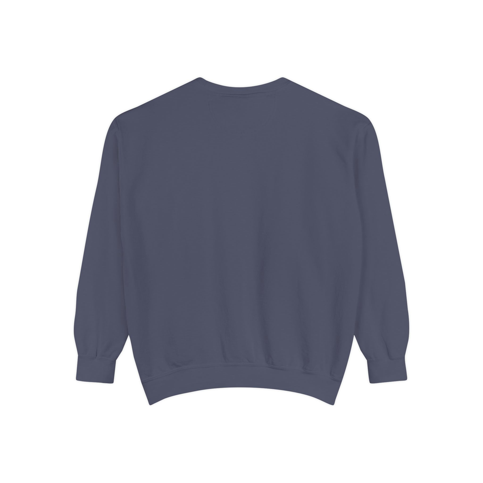 Daddy Ring Bomb's Fizztopia Galaxy Sweatshirt - Comfort Colors