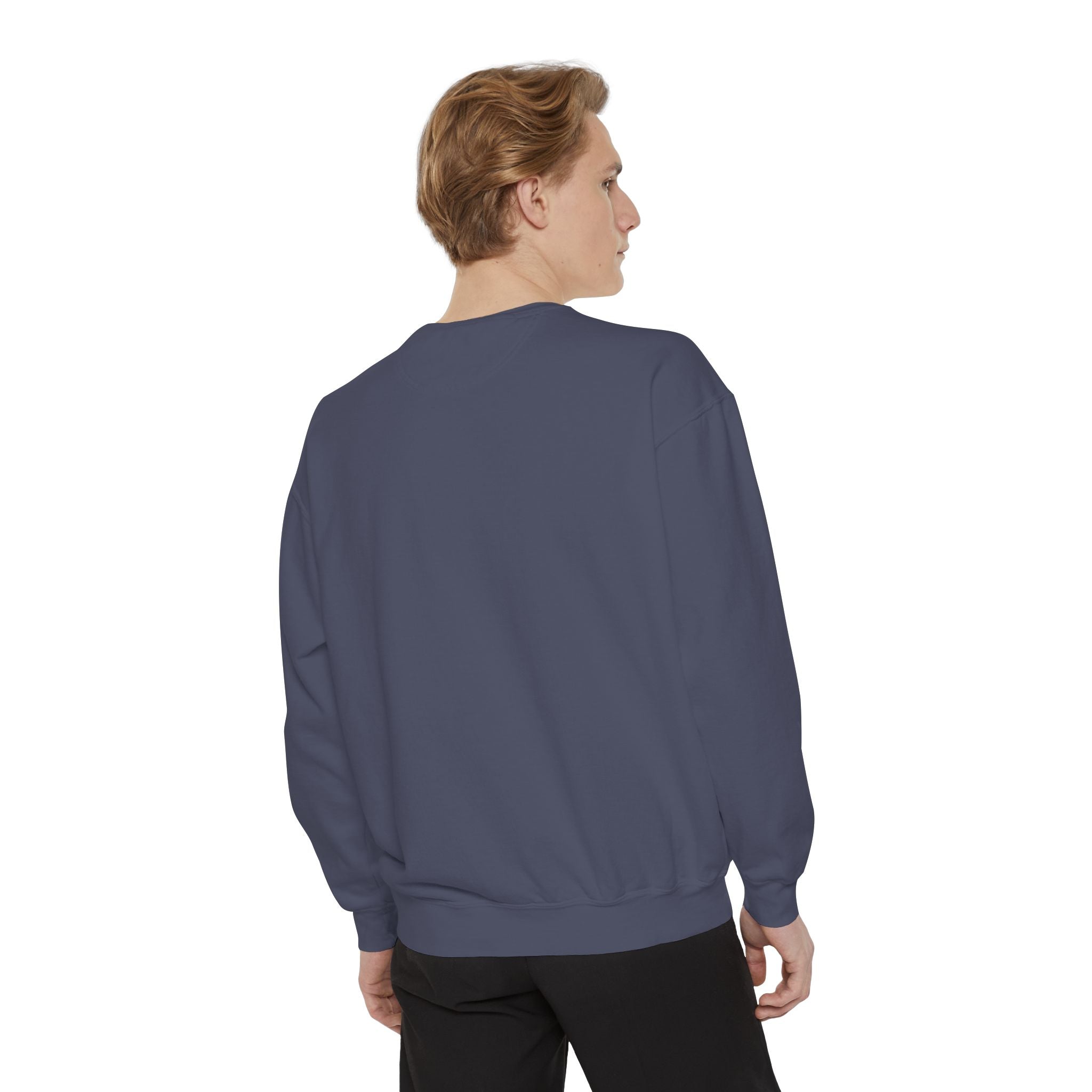 Daddy Ring Bomb's Fizztopia Galaxy Sweatshirt - Comfort Colors
