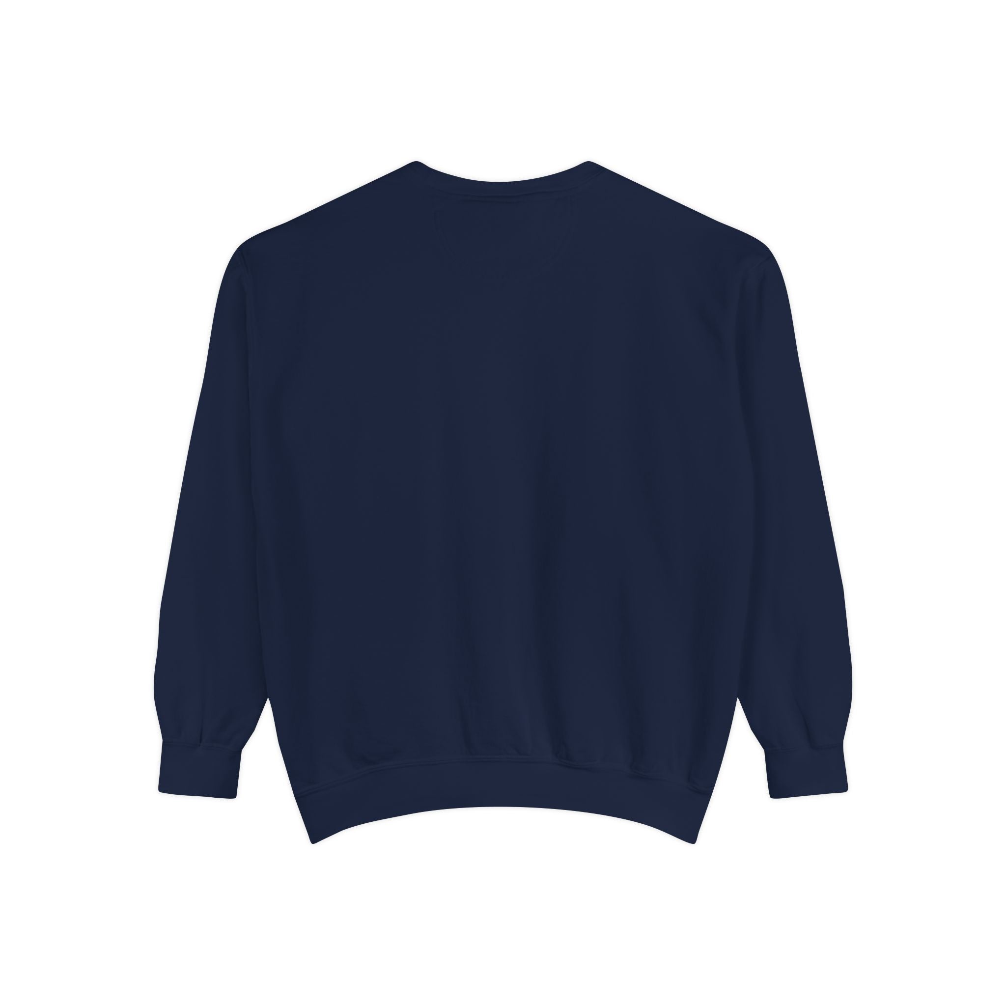 Daddy Ring Bomb's Fizztopia Galaxy Sweatshirt - Comfort Colors