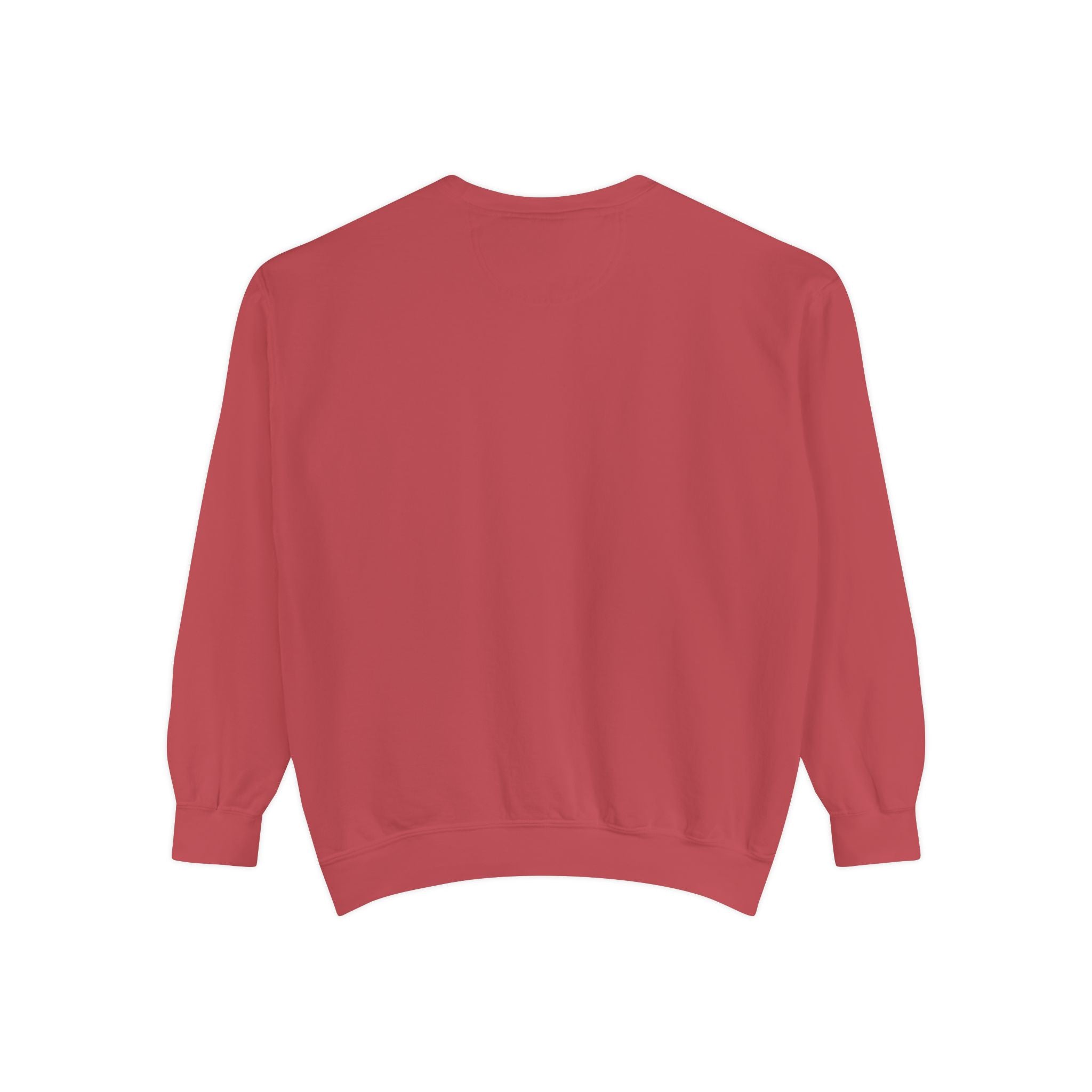 Daddy Ring Bomb's Fizztopia Galaxy Sweatshirt - Comfort Colors