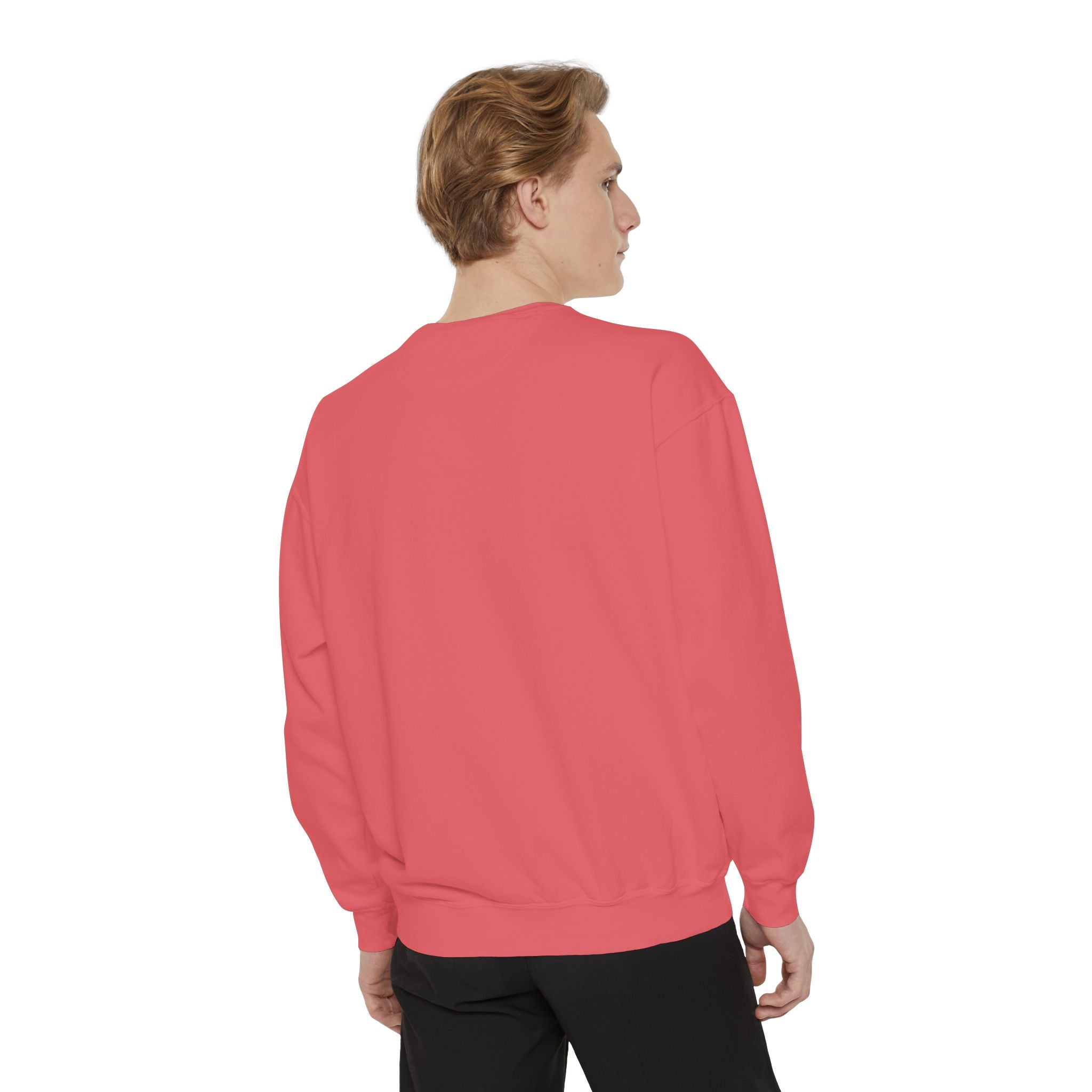 Daddy Ring Bomb's Fizztopia Galaxy Sweatshirt - Comfort Colors