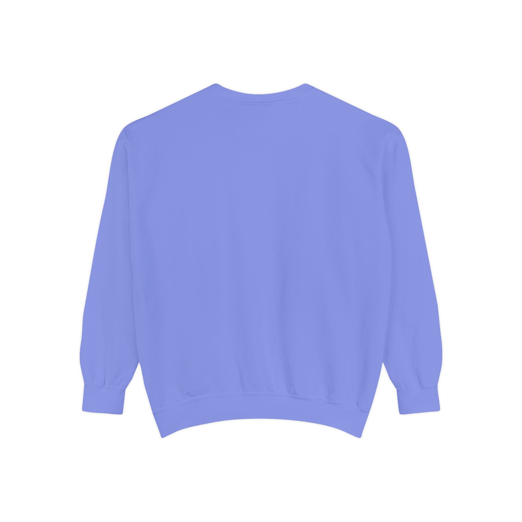 Daddy Ring Bomb's Fizztopia Galaxy Sweatshirt - Comfort Colors
